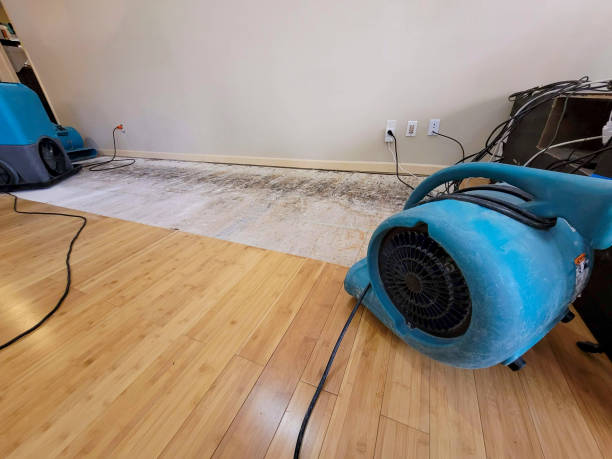 Professional Emergency Water Damage technician working in Saginaw, MN